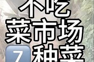 太值了？米兰3840万欧签奇克+普利西奇，两人本赛季各自打进7球